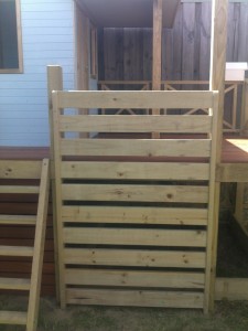 Climbing frame and ladder