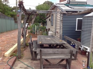 Old vine pergola